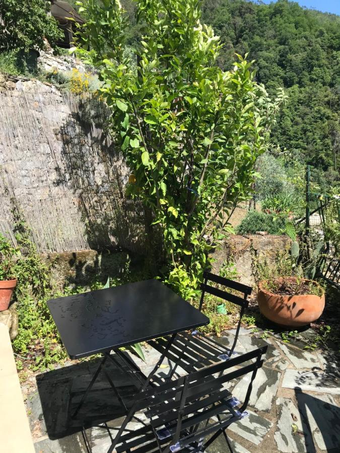 Cottage La Terrazza Levanto Eksteriør billede